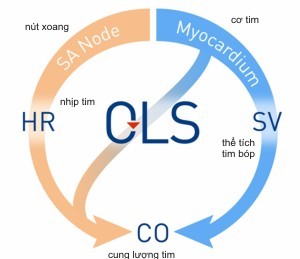 CLSDiagram