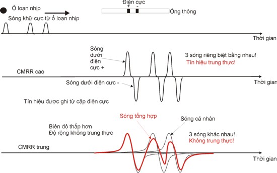 CMRR Effects