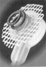 ELC