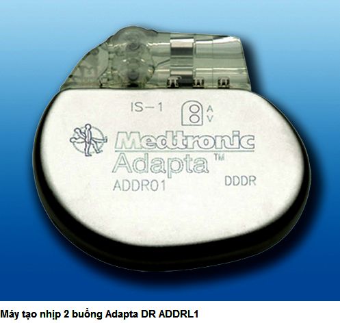 Adapta
