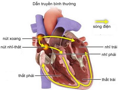 Normal conduction