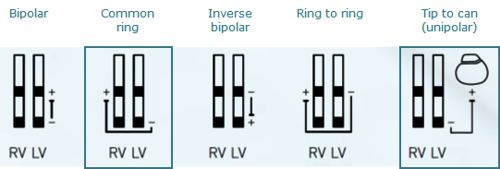 Iforia LV vectors