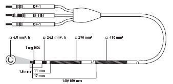 dual coil shock