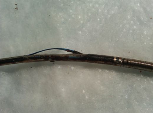 Riata Externalized conductor