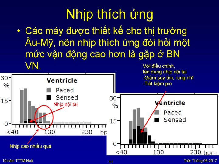 Slide 11
